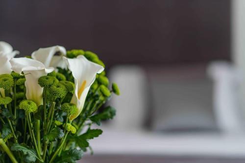 Bed & Breakfast Le Mummarelle Napoli